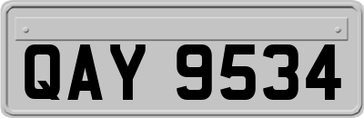 QAY9534