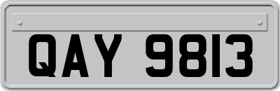 QAY9813