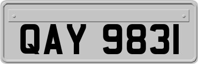 QAY9831