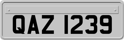 QAZ1239