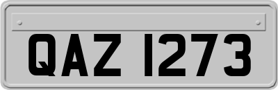 QAZ1273