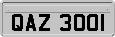 QAZ3001