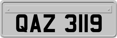 QAZ3119