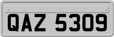 QAZ5309