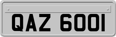 QAZ6001