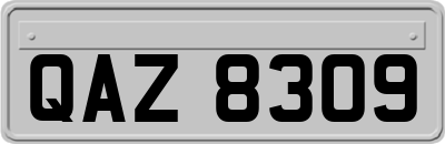 QAZ8309