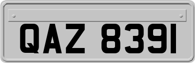 QAZ8391