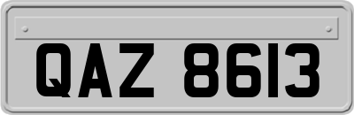 QAZ8613