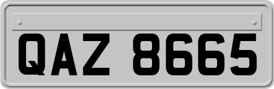 QAZ8665