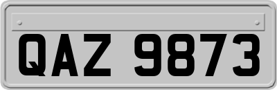 QAZ9873