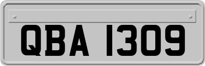 QBA1309