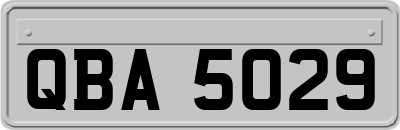 QBA5029