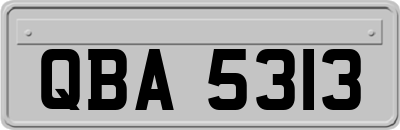 QBA5313