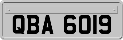 QBA6019