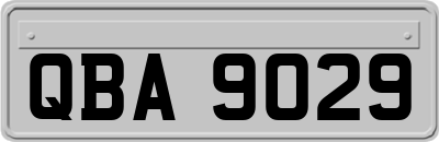 QBA9029