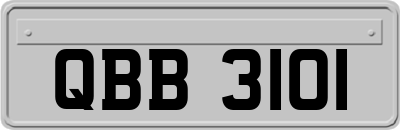 QBB3101