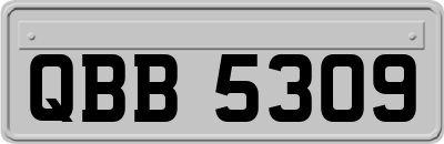 QBB5309