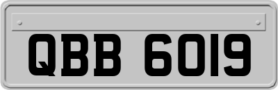 QBB6019
