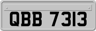 QBB7313