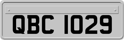 QBC1029