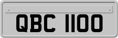 QBC1100