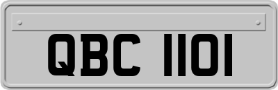 QBC1101