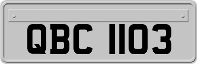 QBC1103