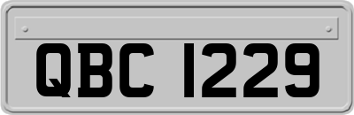 QBC1229