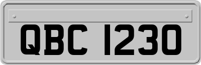 QBC1230