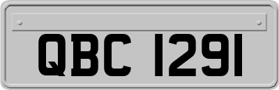QBC1291