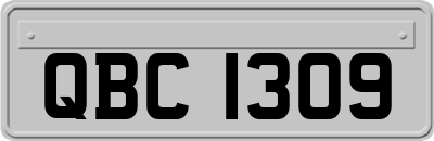 QBC1309