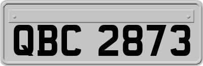 QBC2873