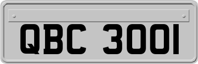 QBC3001
