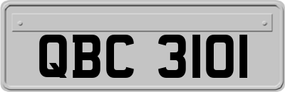 QBC3101