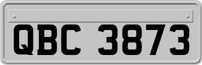 QBC3873