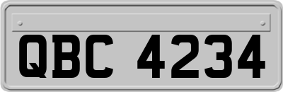 QBC4234