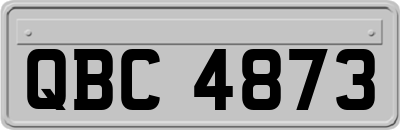 QBC4873