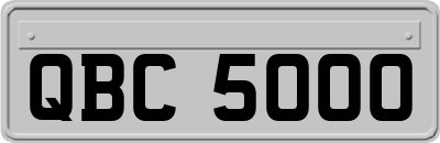 QBC5000