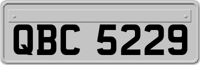 QBC5229
