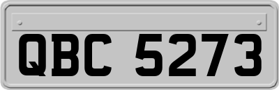 QBC5273