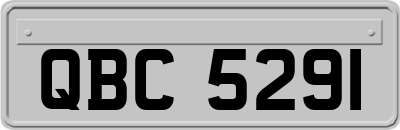 QBC5291