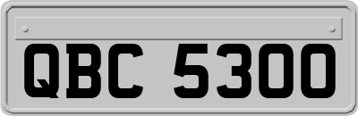 QBC5300