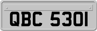 QBC5301