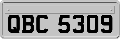 QBC5309