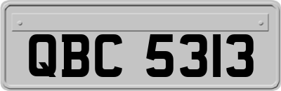 QBC5313