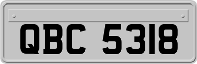 QBC5318