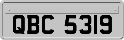QBC5319