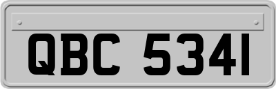 QBC5341