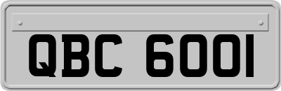 QBC6001