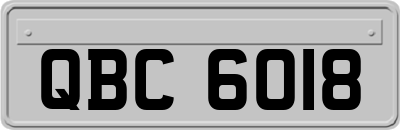 QBC6018